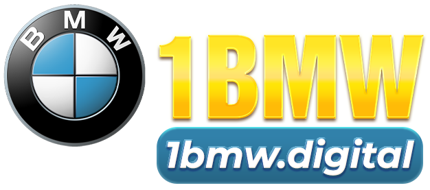 1BMW Logo