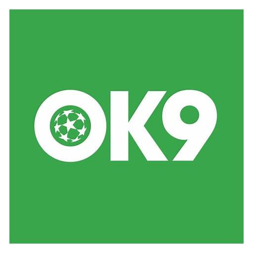Ok9 Logo